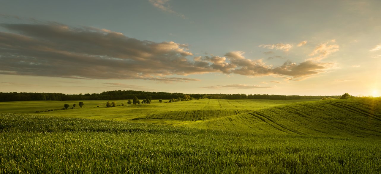 Rapport Parlement: Niet genoeg synergie tussen Horizon Europe en het cohesiebeleid 